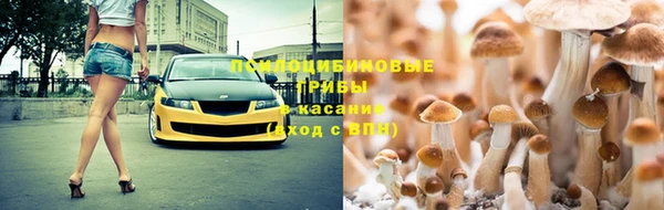 ALPHA-PVP Тобольск