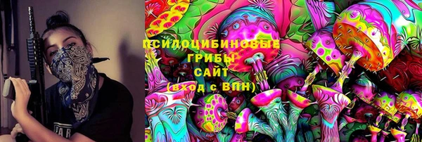 прущий лед Тихвин