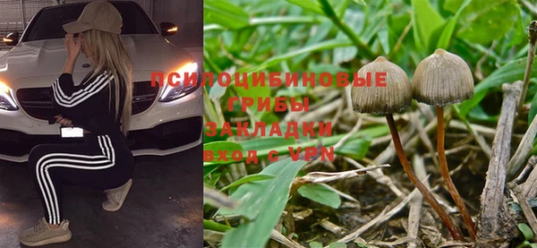 прущий лед Тихвин