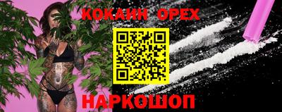 гашик Камышлов