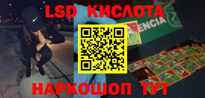 гашик Камышлов