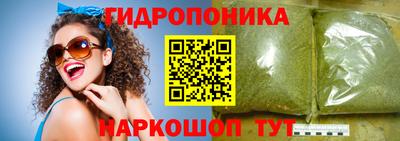 гашик Камышлов