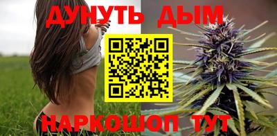 гашик Камышлов