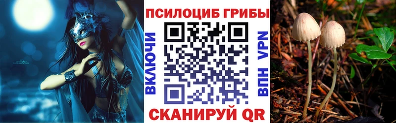 Галлюциногенные грибы прущие грибы Шуя