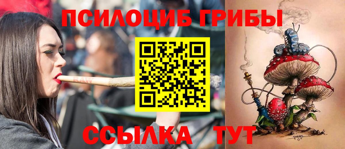 Галлюциногенные грибы ЛСД  Вход с VPN  Шуя  Галлюциногенные грибы Cubensis 