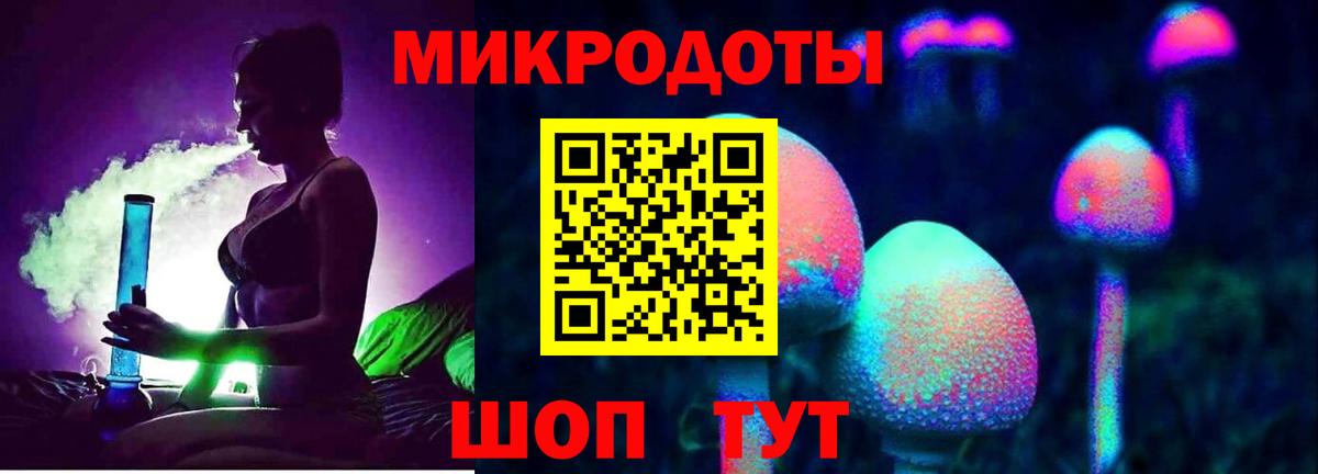 Галлюциногенные грибы Psilocybine cubensis  Шуя 